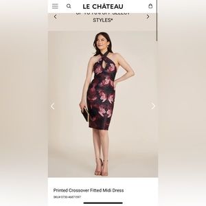 Le Château printed crossover fitted midi dress